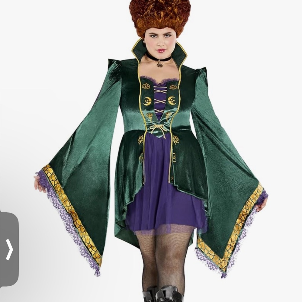 Disney Halloween Sanderson Sisters Elegant Purple, Gold, Green Winifred Dress